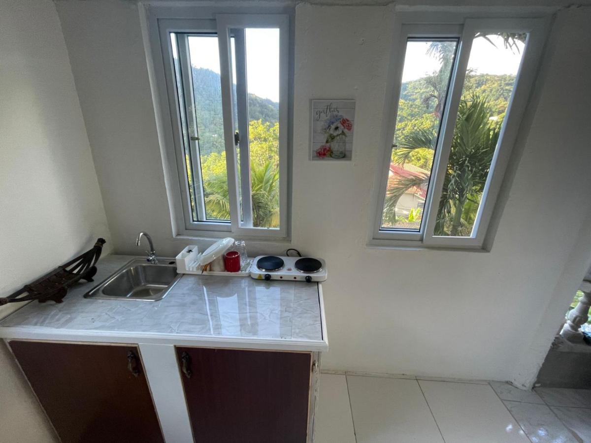 Zaboca Apartment Roseau Exterior photo